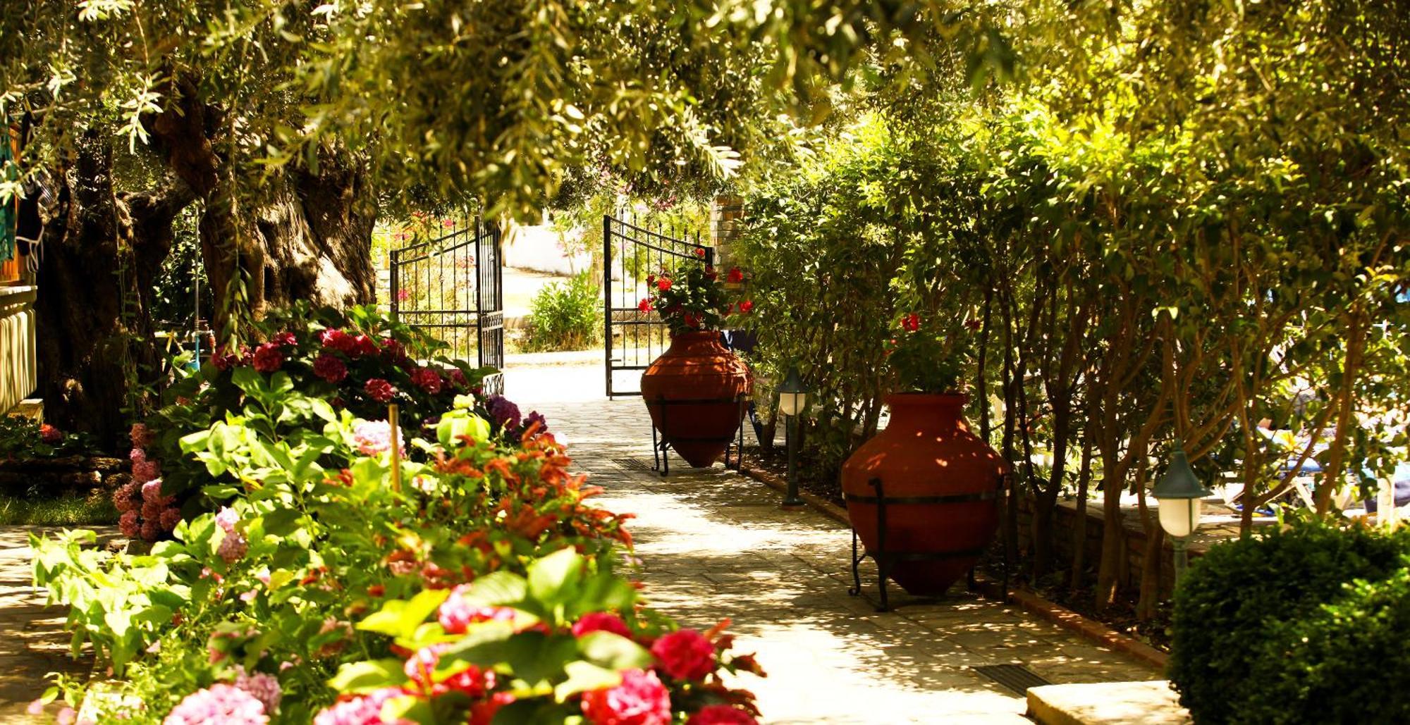Hotel Thetis Limenas  Exterior photo